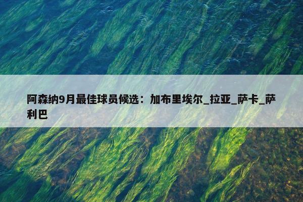 阿森纳9月最佳球员候选：加布里埃尔_拉亚_萨卡_萨利巴