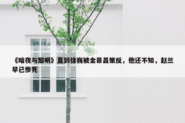 《暗夜与黎明》直到徐巍被金昴昌策反，他还不知，赵兰早已惨死