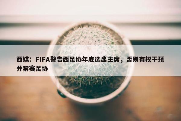 西媒：FIFA警告西足协年底选出主席，否则有权干预并禁赛足协