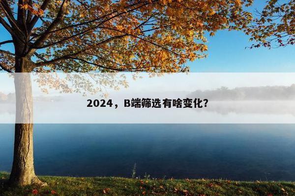 2024，B端筛选有啥变化？