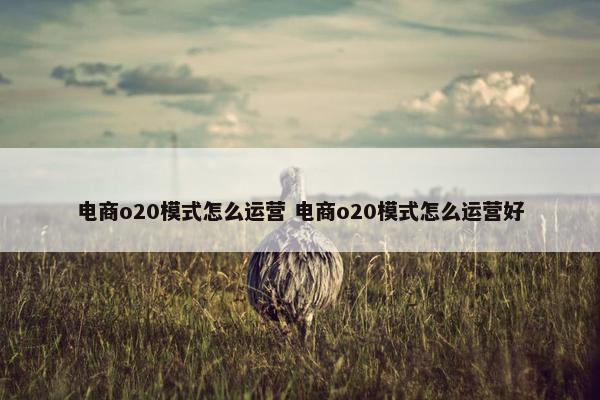 电商o20模式怎么运营 电商o20模式怎么运营好