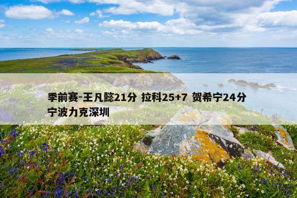 季前赛-王凡懿21分 拉科25+7 贺希宁24分 宁波力克深圳