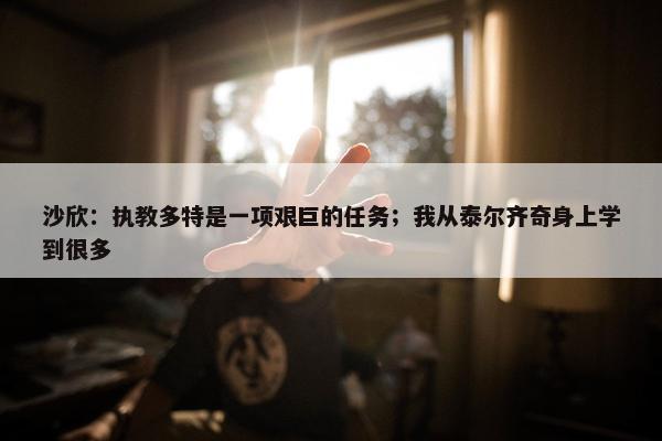 沙欣：执教多特是一项艰巨的任务；我从泰尔齐奇身上学到很多