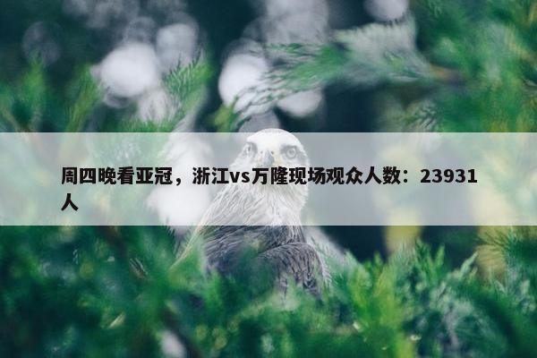 周四晚看亚冠，浙江vs万隆现场观众人数：23931人