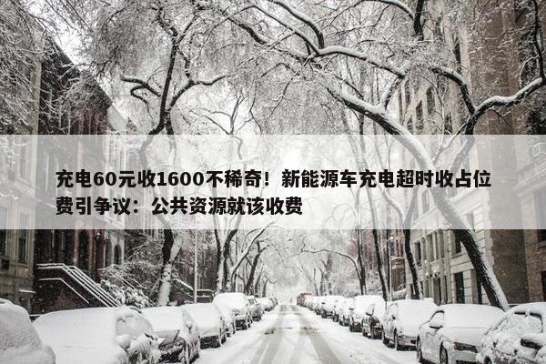 充电60元收1600不稀奇！新能源车充电超时收占位费引争议：公共资源就该收费