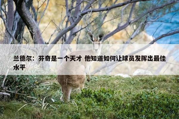 兰德尔：芬奇是一个天才 他知道如何让球员发挥出最佳水平