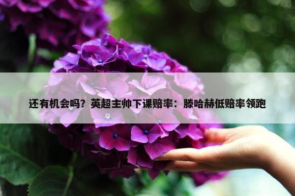 还有机会吗？英超主帅下课赔率：滕哈赫低赔率领跑