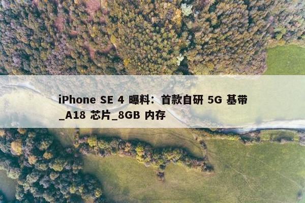 iPhone SE 4 曝料：首款自研 5G 基带_A18 芯片_8GB 内存