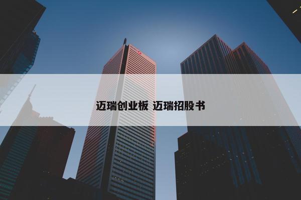 迈瑞创业板 迈瑞招股书