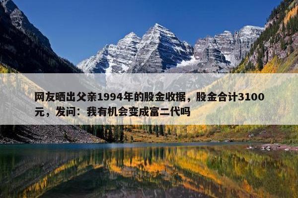 网友晒出父亲1994年的股金收据，股金合计3100元，发问：我有机会变成富二代吗