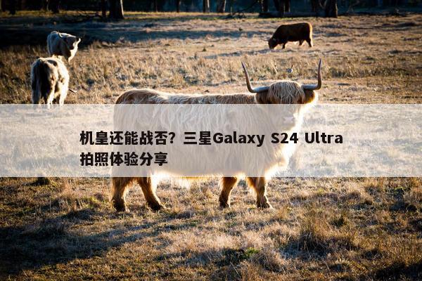 机皇还能战否？三星Galaxy S24 Ultra拍照体验分享