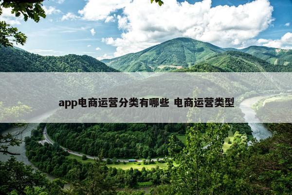 app电商运营分类有哪些 电商运营类型