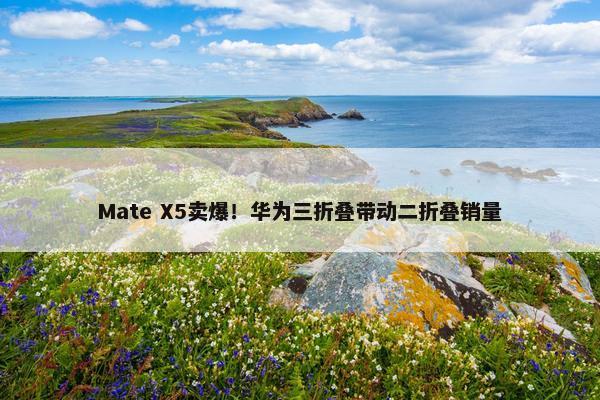 Mate X5卖爆！华为三折叠带动二折叠销量