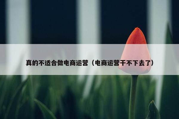 真的不适合做电商运营（电商运营干不下去了）