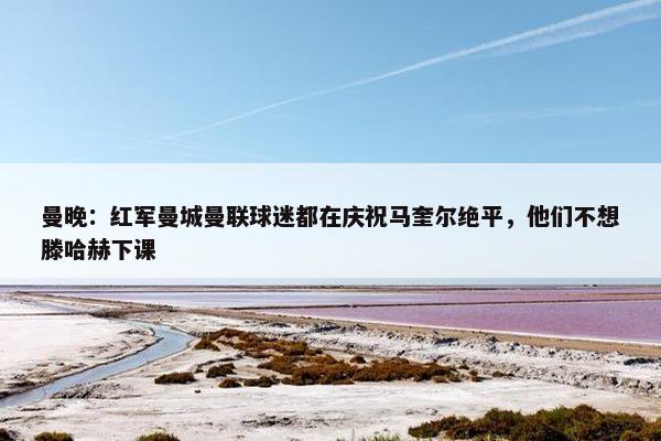 曼晚：红军曼城曼联球迷都在庆祝马奎尔绝平，他们不想滕哈赫下课