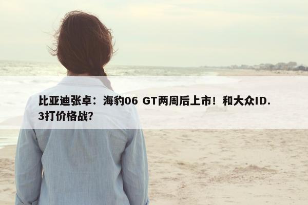 比亚迪张卓：海豹06 GT两周后上市！和大众ID.3打价格战？