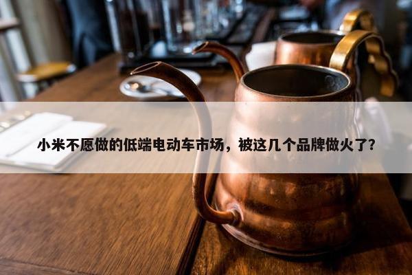 小米不愿做的低端电动车市场，被这几个品牌做火了？