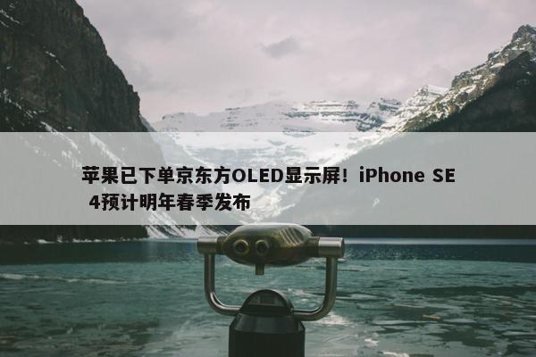 苹果已下单京东方OLED显示屏！iPhone SE 4预计明年春季发布