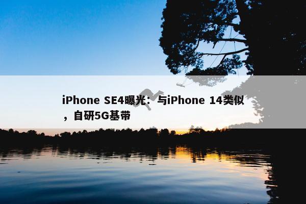 iPhone SE4曝光：与iPhone 14类似，自研5G基带