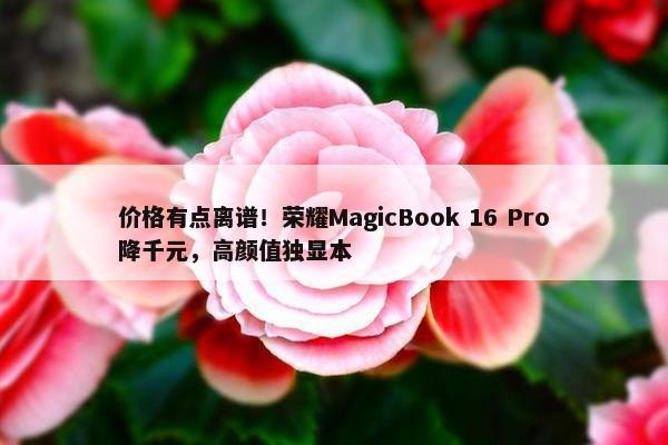 价格有点离谱！荣耀MagicBook 16 Pro降千元，高颜值独显本