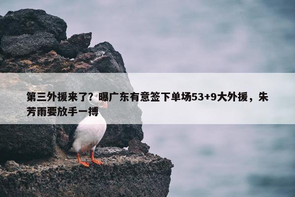 第三外援来了？曝广东有意签下单场53+9大外援，朱芳雨要放手一搏