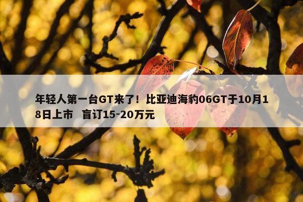 年轻人第一台GT来了！比亚迪海豹06GT于10月18日上市  盲订15-20万元