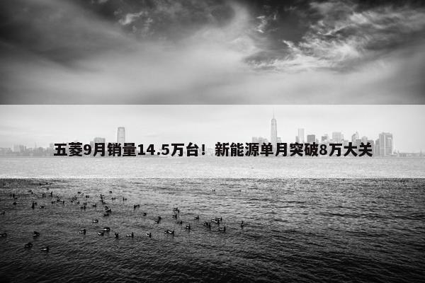 五菱9月销量14.5万台！新能源单月突破8万大关