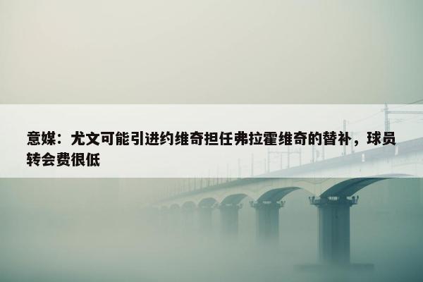 意媒：尤文可能引进约维奇担任弗拉霍维奇的替补，球员转会费很低