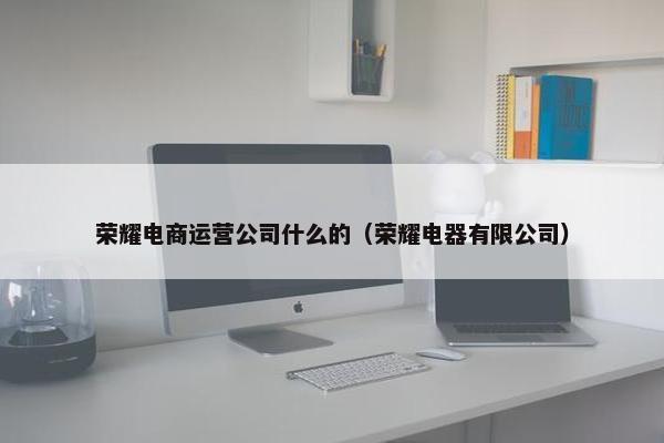 荣耀电商运营公司什么的（荣耀电器有限公司）