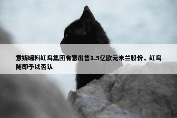 意媒曝料红鸟集团有意出售1.5亿欧元米兰股份，红鸟随即予以否认