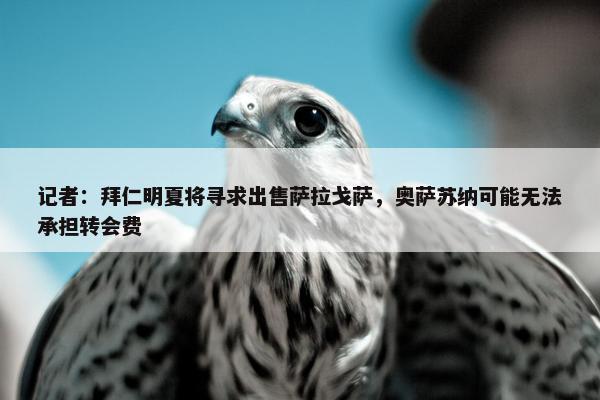 记者：拜仁明夏将寻求出售萨拉戈萨，奥萨苏纳可能无法承担转会费