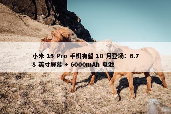 小米 15 Pro 手机有望 10 月登场：6.78 英寸屏幕 + 6000mAh 电池