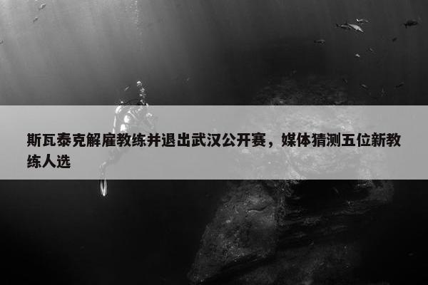 斯瓦泰克解雇教练并退出武汉公开赛，媒体猜测五位新教练人选