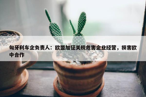 匈牙利车企负责人：欧盟加征关税危害企业经营，损害欧中合作