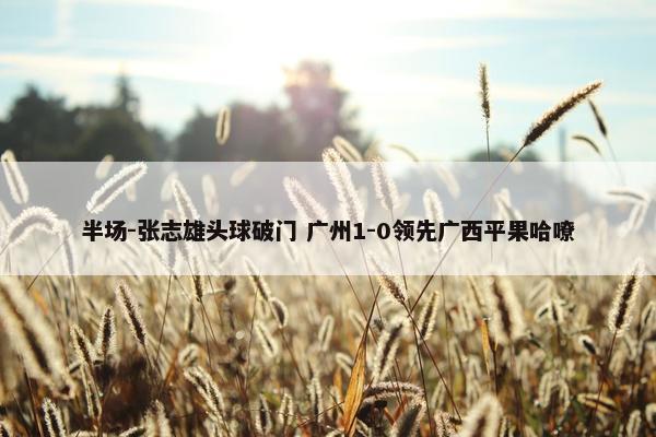 半场-张志雄头球破门 广州1-0领先广西平果哈嘹