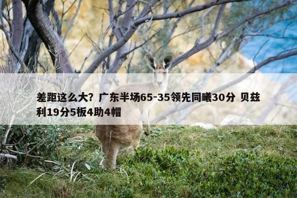 差距这么大？广东半场65-35领先同曦30分 贝兹利19分5板4助4帽