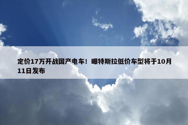 定价17万开战国产电车！曝特斯拉低价车型将于10月11日发布