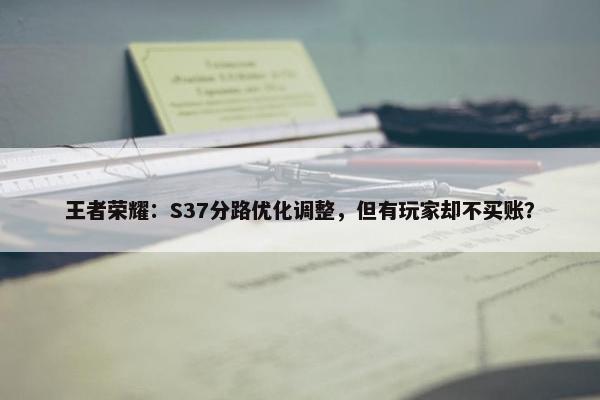 王者荣耀：S37分路优化调整，但有玩家却不买账？