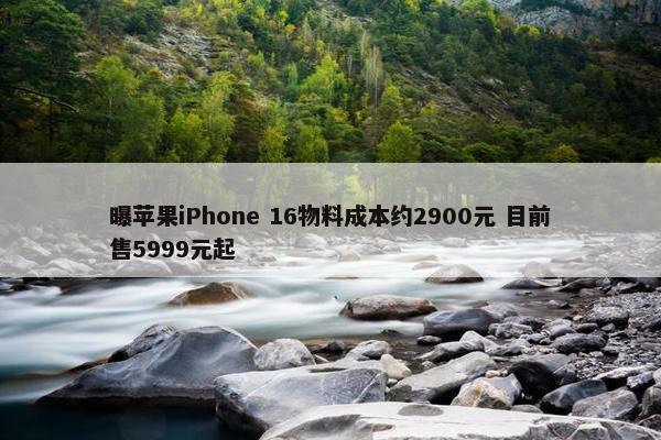 曝苹果iPhone 16物料成本约2900元 目前售5999元起