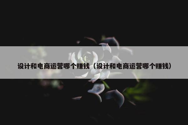 设计和电商运营哪个赚钱（设计和电商运营哪个赚钱）