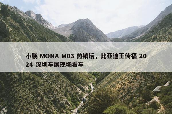 小鹏 MONA M03 热销后，比亚迪王传福 2024 深圳车展现场看车