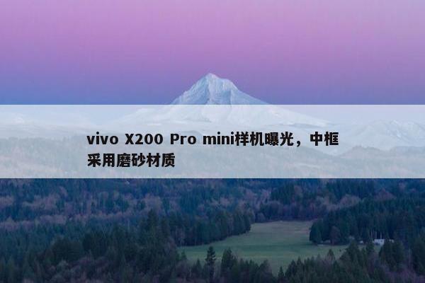 vivo X200 Pro mini样机曝光，中框采用磨砂材质