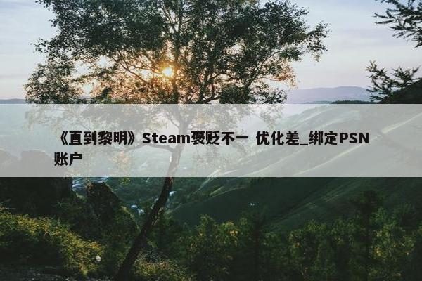 《直到黎明》Steam褒贬不一 优化差_绑定PSN账户