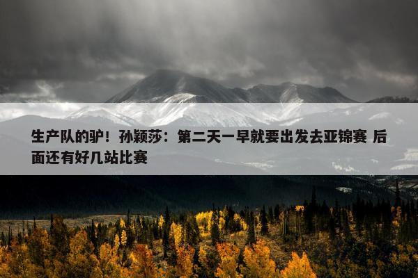 生产队的驴！孙颖莎：第二天一早就要出发去亚锦赛 后面还有好几站比赛