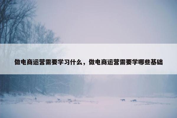 做电商运营需要学习什么，做电商运营需要学哪些基础