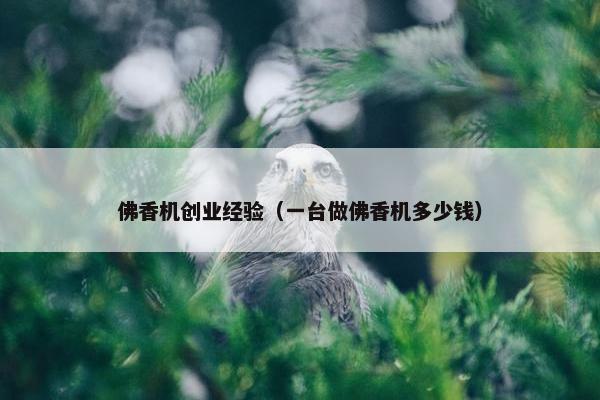 佛香机创业经验（一台做佛香机多少钱）