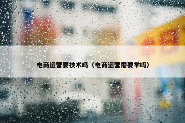 电商运营要技术吗（电商运营需要学吗）