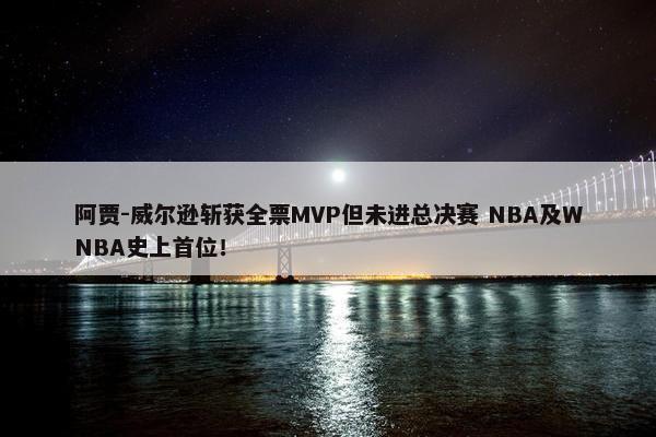 阿贾-威尔逊斩获全票MVP但未进总决赛 NBA及WNBA史上首位！