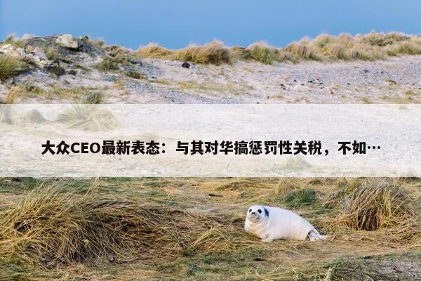 大众CEO最新表态：与其对华搞惩罚性关税，不如…