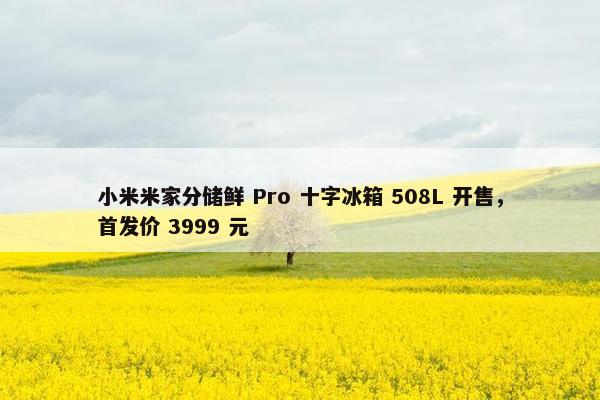 小米米家分储鲜 Pro 十字冰箱 508L 开售，首发价 3999 元